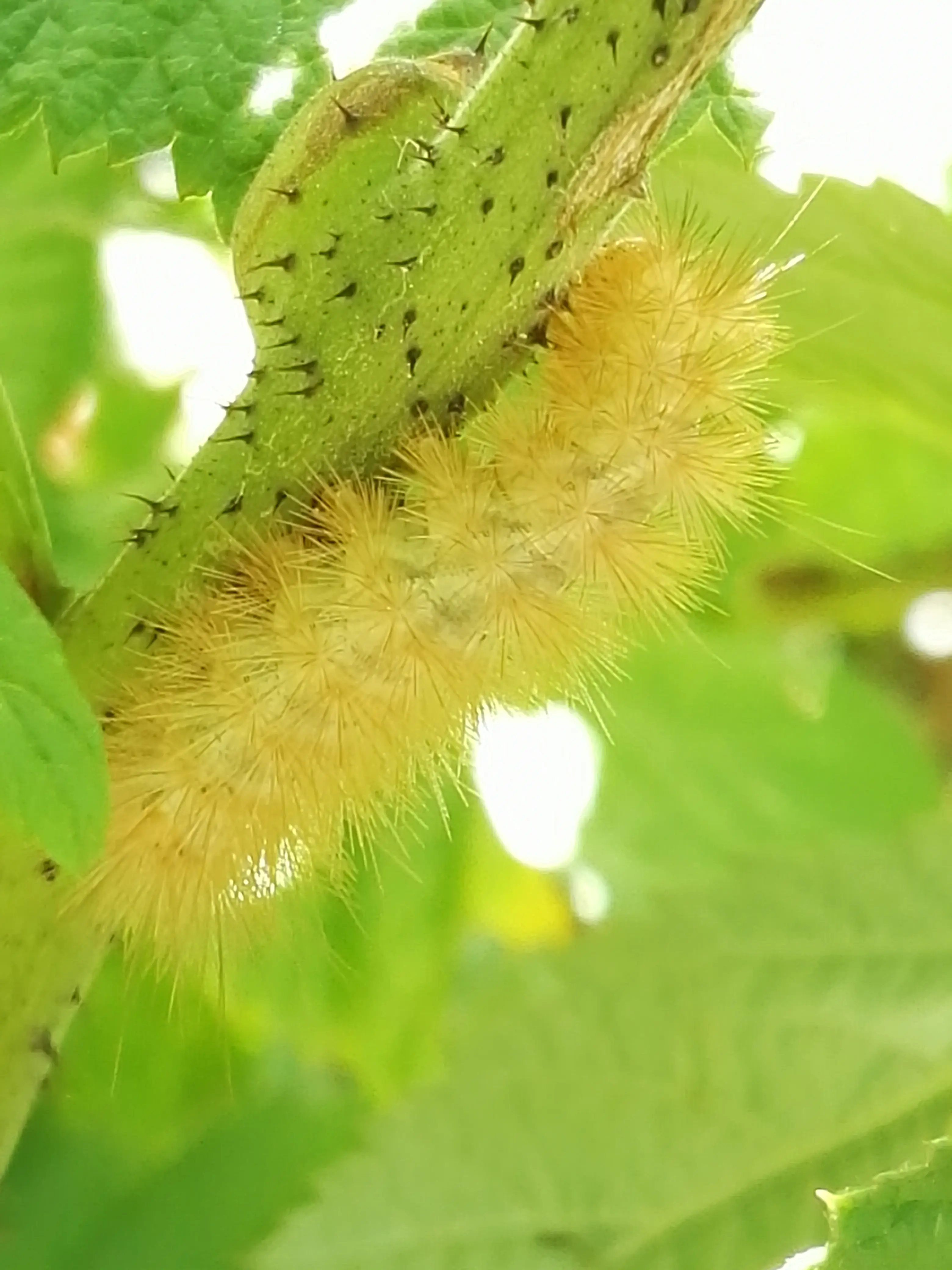 Principe N°1 - Observer et intéragir