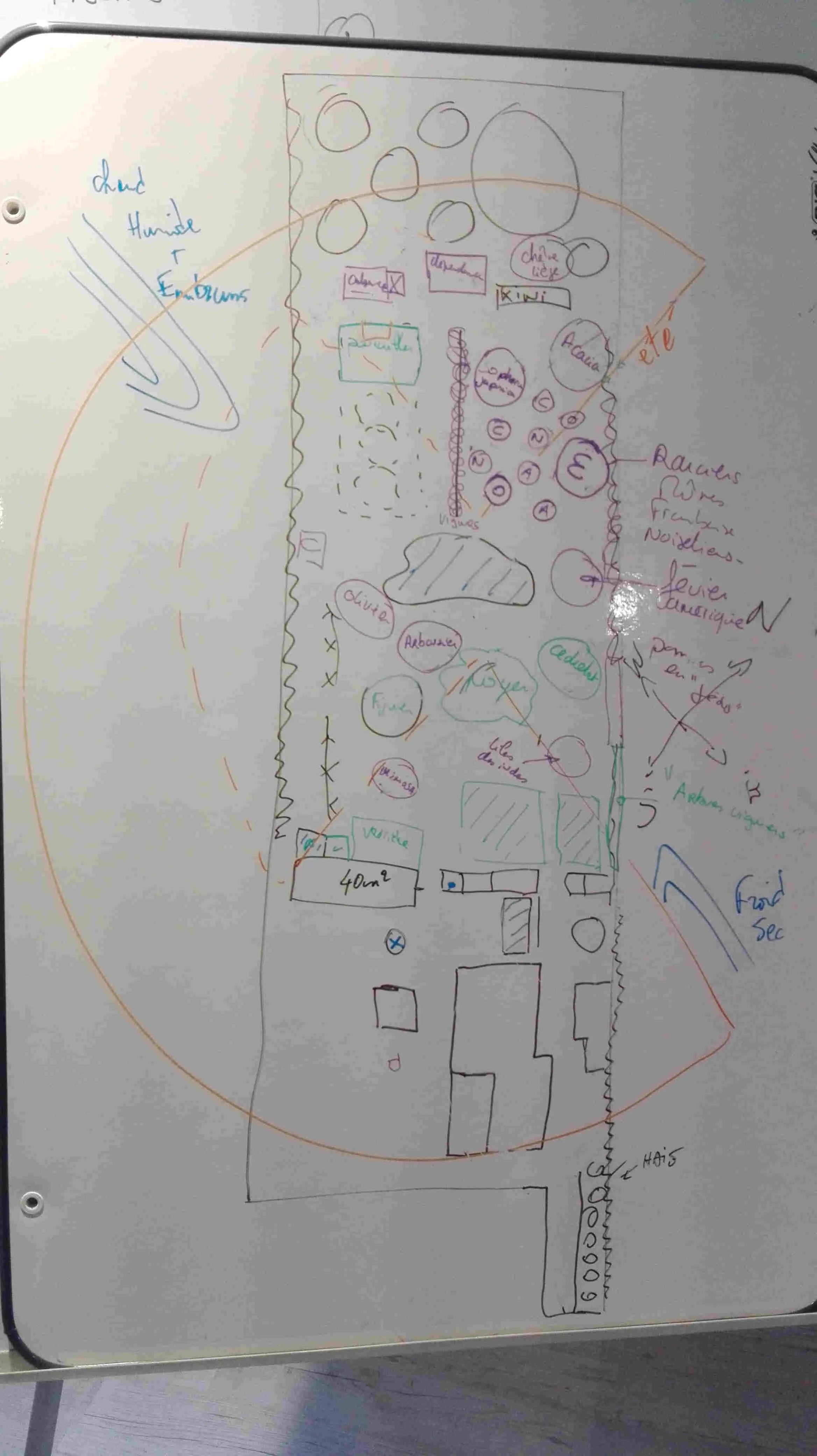 Initiation 1 - design sur tableau blanc